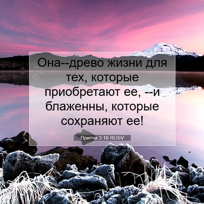 Picture 07 - Притчи 3:18 RUSV - Она--древо жизни для тех, - Bible Verse Picture