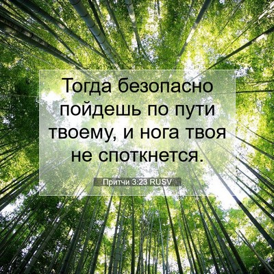 Picture 07 - Притчи 3:23 RUSV - Тогда безопасно пойдешь по - Bible Verse Picture