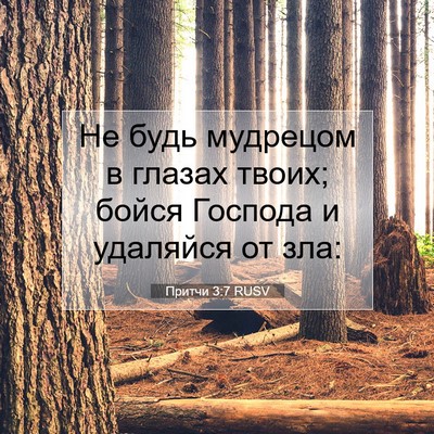 Picture 07 - Притчи 3:7 RUSV - Не будь мудрецом в глазах - Bible Verse Picture