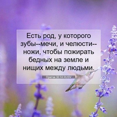 Picture 07 - Притчи 30:14 RUSV - Есть род, у которого - Bible Verse Picture