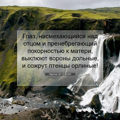 Picture 07 - Притчи 30:17 RUSV - Глаз, насмехающийся над - Bible Verse Picture