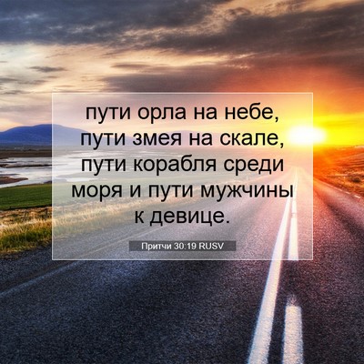 Picture 07 - Притчи 30:19 RUSV - пути орла на небе, пути - Bible Verse Picture