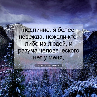 Picture 07 - Притчи 30:2 RUSV - подлинно, я более невежда, - Bible Verse Picture
