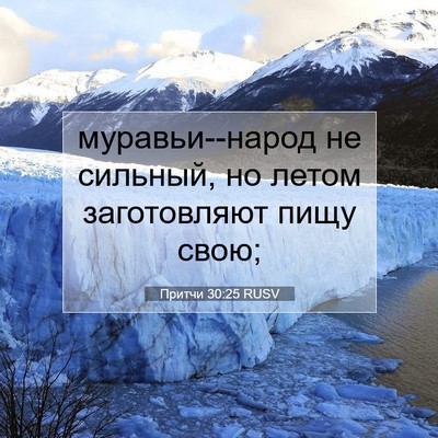Picture 07 - Притчи 30:25 RUSV - муравьи--народ не сильный, - Bible Verse Picture