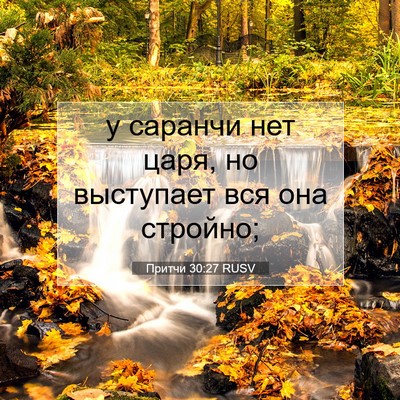 Picture 07 - Притчи 30:27 RUSV - у саранчи нет царя, но - Bible Verse Picture
