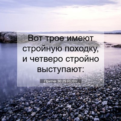 Picture 07 - Притчи 30:29 RUSV - Вот трое имеют стройную - Bible Verse Picture
