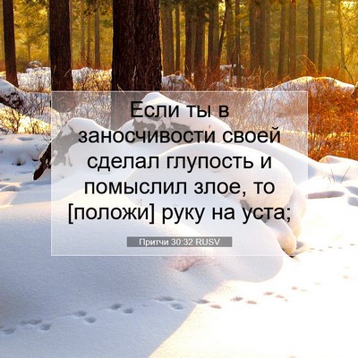 Picture 07 - Притчи 30:32 RUSV - Если ты в заносчивости - Bible Verse Picture
