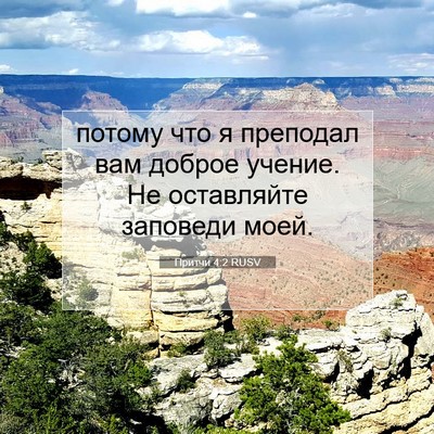 Picture 07 - Притчи 4:2 RUSV - потому что я преподал вам - Bible Verse Picture