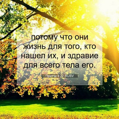 Picture 07 - Притчи 4:22 RUSV - потому что они жизнь для - Bible Verse Picture