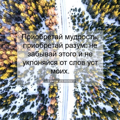 Picture 07 - Притчи 4:5 RUSV - Приобретай мудрость, - Bible Verse Picture
