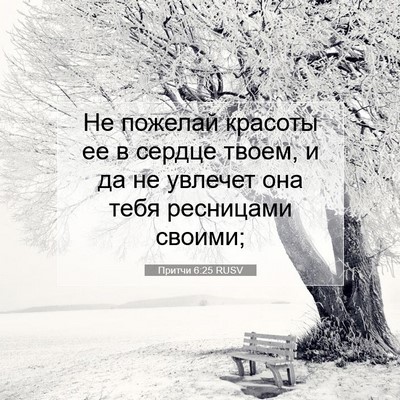 Picture 07 - Притчи 6:25 RUSV - Не пожелай красоты ее в - Bible Verse Picture
