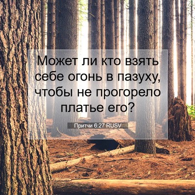 Picture 07 - Притчи 6:27 RUSV - Может ли кто взять себе - Bible Verse Picture