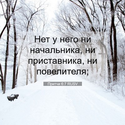 Picture 07 - Притчи 6:7 RUSV - Нет у него ни начальника, - Bible Verse Picture