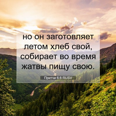 Picture 07 - Притчи 6:8 RUSV - но он заготовляет летом - Bible Verse Picture