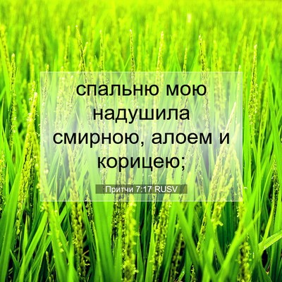 Picture 07 - Притчи 7:17 RUSV - спальню мою надушила - Bible Verse Picture