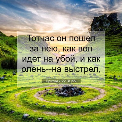 Picture 07 - Притчи 7:22 RUSV - Тотчас он пошел за нею, как - Bible Verse Picture