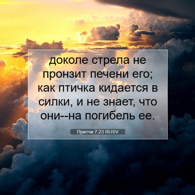 Picture 07 - Притчи 7:23 RUSV - доколе стрела не пронзит - Bible Verse Picture