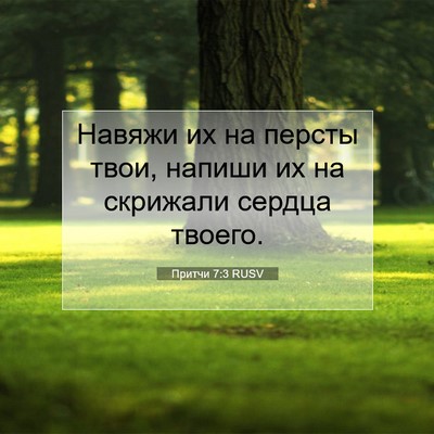 Picture 07 - Притчи 7:3 RUSV - Навяжи их на персты твои, - Bible Verse Picture