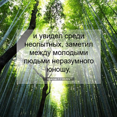 Picture 07 - Притчи 7:7 RUSV - и увидел среди неопытных, - Bible Verse Picture
