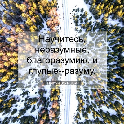 Picture 07 - Притчи 8:5 RUSV - Научитесь, неразумные, - Bible Verse Picture