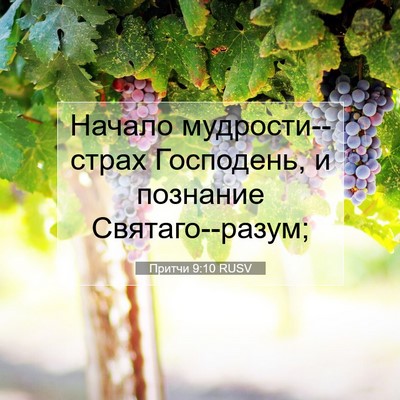 Picture 07 - Притчи 9:10 RUSV - Начало мудрости--страх - Bible Verse Picture