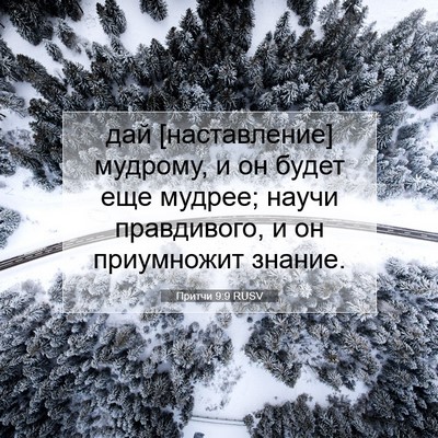 Picture 07 - Притчи 9:9 RUSV - дай [наставление] мудрому, - Bible Verse Picture
