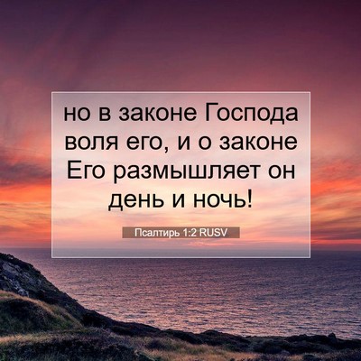 Picture 07 - Псалтирь 1:2 RUSV - но в законе Господа воля - Bible Verse Picture