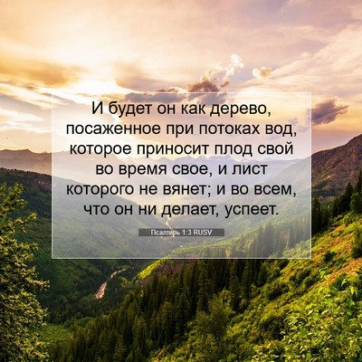 Picture 07 - Псалтирь 1:3 RUSV - И будет он как дерево, - Bible Verse Picture