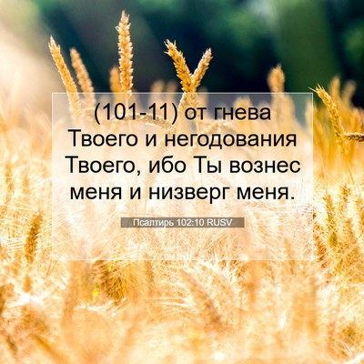 Picture 07 - Псалтирь 102:10 RUSV - (101-11) от гнева Твоего и - Bible Verse Picture