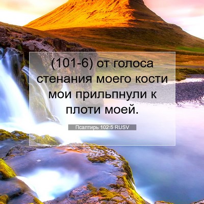 Picture 07 - Псалтирь 102:5 RUSV - (101-6) от голоса стенания - Bible Verse Picture