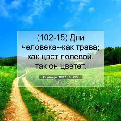 Picture 07 - Псалтирь 103:15 RUSV - (102-15) Дни человека--как - Bible Verse Picture