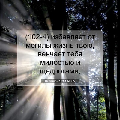 Picture 07 - Псалтирь 103:4 RUSV - (102-4) избавляет от могилы - Bible Verse Picture