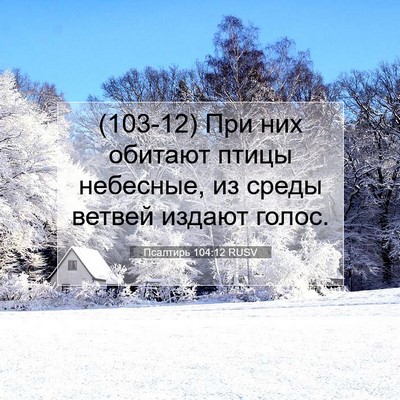 Picture 07 - Псалтирь 104:12 RUSV - (103-12) При них обитают птицы - Bible Verse Picture