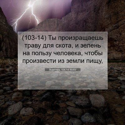 Picture 07 - Псалтирь 104:14 RUSV - (103-14) Ты произращаешь траву - Bible Verse Picture