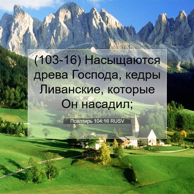 Picture 07 - Псалтирь 104:16 RUSV - (103-16) Насыщаются древа - Bible Verse Picture