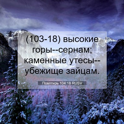 Picture 07 - Псалтирь 104:18 RUSV - (103-18) высокие горы--сернам; - Bible Verse Picture