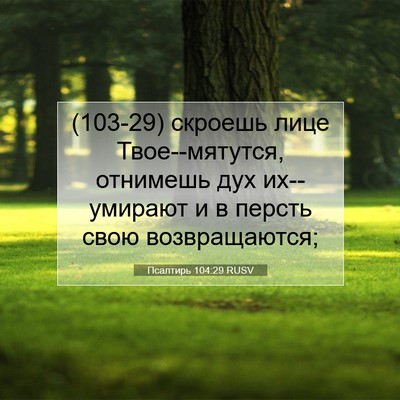Picture 07 - Псалтирь 104:29 RUSV - (103-29) скроешь лице - Bible Verse Picture