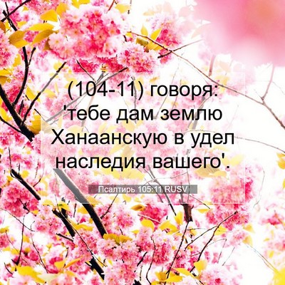 Picture 07 - Псалтирь 105:11 RUSV - (104-11) говоря: 'тебе дам - Bible Verse Picture