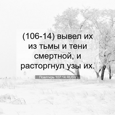 Picture 07 - Псалтирь 107:14 RUSV - (106-14) вывел их из тьмы и - Bible Verse Picture