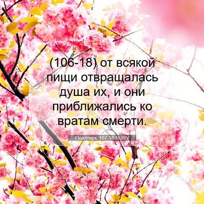Picture 07 - Псалтирь 107:18 RUSV - (106-18) от всякой пищи - Bible Verse Picture