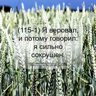 Picture 07 - Псалтирь 116:10 RUSV - (115-1) Я веровал, и потому - Bible Verse Picture
