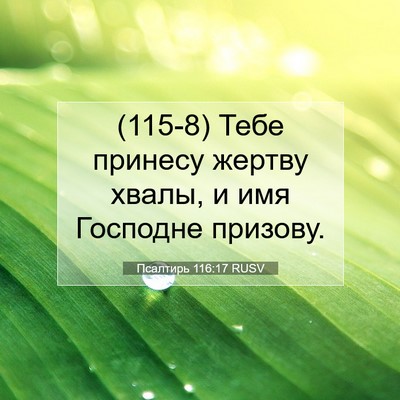 Picture 07 - Псалтирь 116:17 RUSV - (115-8) Тебе принесу жертву - Bible Verse Picture