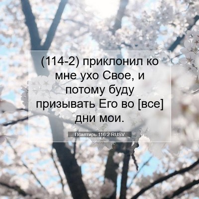 Picture 07 - Псалтирь 116:2 RUSV - (114-2) приклонил ко мне ухо - Bible Verse Picture