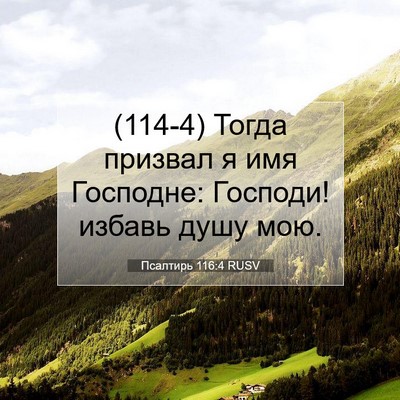 Picture 07 - Псалтирь 116:4 RUSV - (114-4) Тогда призвал я имя - Bible Verse Picture