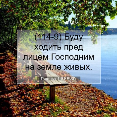 Picture 07 - Псалтирь 116:9 RUSV - (114-9) Буду ходить пред лицем - Bible Verse Picture