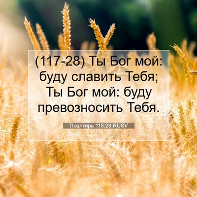 Picture 07 - Псалтирь 118:28 RUSV - (117-28) Ты Бог мой: буду - Bible Verse Picture
