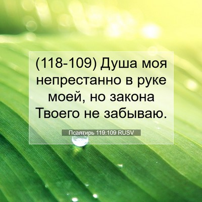 Picture 07 - Псалтирь 119:109 RUSV - (118-109) Душа моя непрестанно - Bible Verse Picture