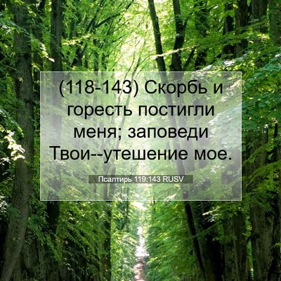 Picture 07 - Псалтирь 119:143 RUSV - (118-143) Скорбь и горесть - Bible Verse Picture
