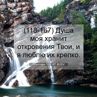 Picture 07 - Псалтирь 119:167 RUSV - (118-167) Душа моя хранит - Bible Verse Picture