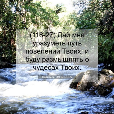 Picture 07 - Псалтирь 119:27 RUSV - (118-27) Дай мне уразуметь - Bible Verse Picture